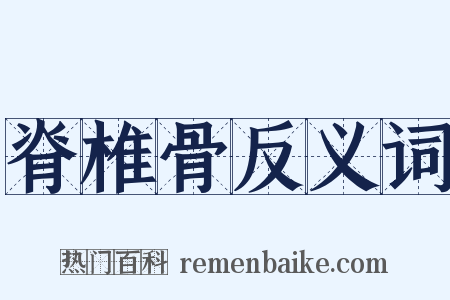 脊椎骨反义词是什么意思的图片